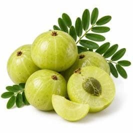 Amla / Indian Gooseberry — Botanical & herbal extracts