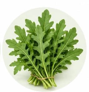 Arugula — Botanical & herbal extracts