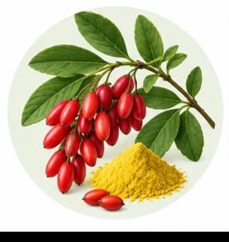 Bebreen (Aqdah Reeh) — Botanical & herbal extracts