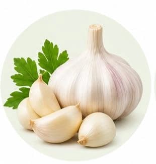 ثوم — مستخلصات نباتية وعشبية