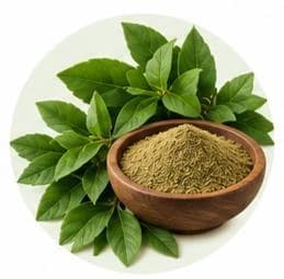 حناء — مستخلصات نباتية وعشبية