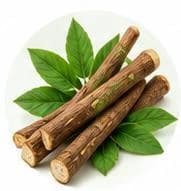 عرق سوس — مستخلصات نباتية وعشبية