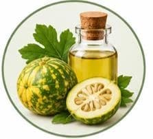 زيت حنظل — زيوت طبيعية