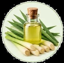 Lemongrass Oil — Essential oils