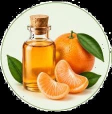 Mandarin Oil — Essential oils