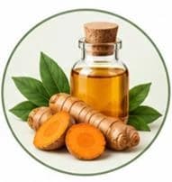 Turmeric Oil — Natural oils