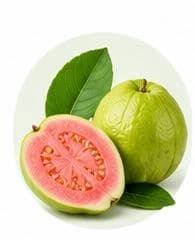 Guava — Botanical & herbal extracts